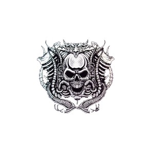 Sweat zippé motor skull