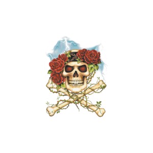 T shirt skull and roses.