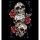 T shirt four skull