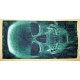 Motley Tube blue skull