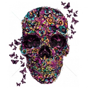 T shirt skull butterfly