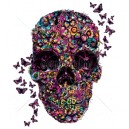 Sweat skull and butterfly